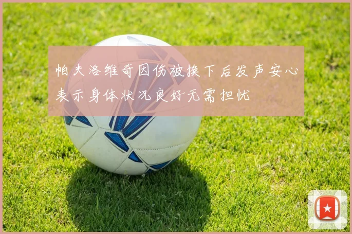 帕夫洛维奇因伤被换下后发声安心表示身体状况良好无需担忧