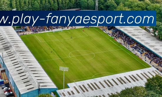 泛亚电竞平台生态图